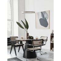 Nova Luce 9345614 Perrine LED Pendelleuchte Silber gebü