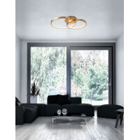 Nova Luce 8100282 Leon LED Deckenleuchte Blattgold 2
