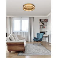 Nova Luce 9285420 Fiore LED Deckenleuchte Antik Gold 2