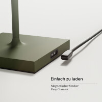 Akku-Stehleuchte Nuindie 1200mm Tannengrün rund 7