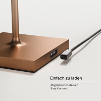 Akku-Stehleuchte Nuindie 1200mm bronze rund 4549801 6