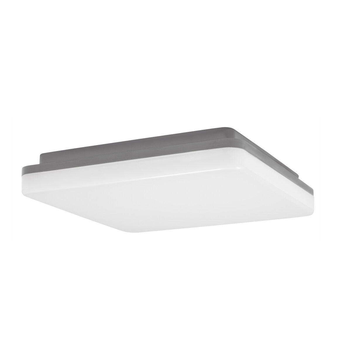 Nova Luce Tommy 9521002 Wand,-Deckenleuchte IP54 Dunkel Grau