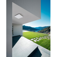 Nova Luce Tommy 9521002 Wand,-Deckenleuchte IP54 Dunkel Grau