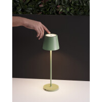 Nova Luce Seina 9223405 Tischleuchte IP54 Olive Grün 6