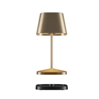 Villeroy & Boch NEAPEL RC Gold gebürstet Outdoorleu