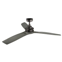 Ried - 56in / 142cm Fan - Anvil Iron 3