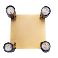 Näve 4er Wand- und Deckenleuchten FRIDA schwarz / gold 