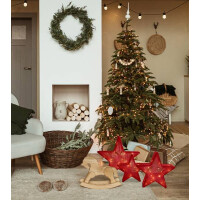 Näve 3er-Set LED-Deko-Weihnachtssterne rot 3