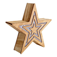 Näve LED-Weihnachtsdeko Stern H: 23 cm 5