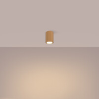 Sollux SL.1549 Plafond KARBON 10 golden 3