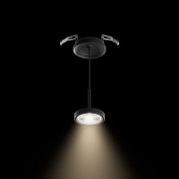 Sigor Nivo Pendelleuchte schwarz 50° Einbau 14W dimmbar 