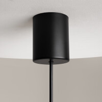 Maytoni Pendelleuchte The Sixth Sense Metall Schwarz Z020PL-