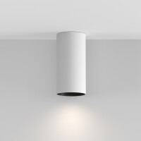 Technical Deckenleuchte Artisan Aluminium Weiß C080CL-