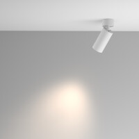 Technical Deckenleuchte Artisan Aluminium Weiß C082CL-