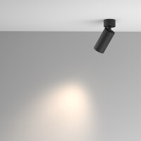 Technical Deckenleuchte Artisan Aluminium Schwarz C082CL-01-