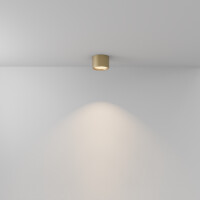 Technical Deckenleuchte Hydra Aluminium Mattes Gold C090CL-1