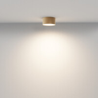 Technical Deckenleuchte Zon Aluminium Mattes Gold C032CL-12W