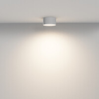 Technical Deckenleuchte Zon Aluminium Weiß C032CL-12W3