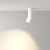 Technical Deckenleuchte Dafne Aluminium Weiß C027CL-L1