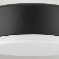 Hinkley Cedric Deckenleuchte Schwarz HK-CEDRIC-F-S-BK 2