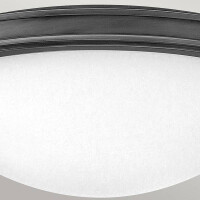 Hinkley Collier Deckenleuchte Schwarz HK-COLLIER-F-M-BX 4