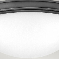Hinkley Collier Deckenleuchte Schwarz HK-COLLIER-F-S-BX 3