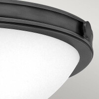 Hinkley Collier Deckenleuchte Schwarz HK-COLLIER-F-S-BX 4