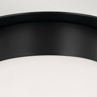 Kichler Albers Deckenleuchte Schwarz KL-ALBERS-F-G-BK 4