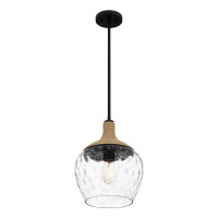 Quoizel Royer Pendelleuchte Schwarz QZ-ROYER-1P-MBK 3