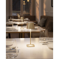 Villeroy & Boch NEAPEL MICRO RC - Gold gebürstet , 