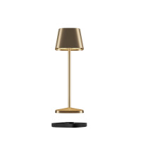 Villeroy & Boch NEAPEL MICRO RC - Gold gebürstet , 