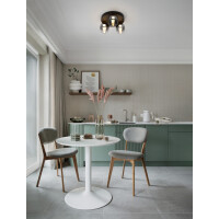 Nova Luce 9236209 KITA Deckenleuchte Schwarz/Rauch 2