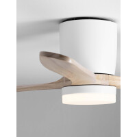 Nova Luce 9952376 ALOA Ventilator Weiß/Braun 5