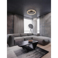 Nova Luce 9695508 LONELA Deckenleuchte Schwarz 2