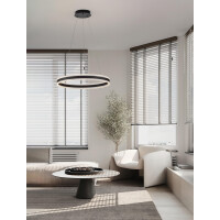 Nova Luce 9019726 ALARO Pendelleuchte Schwarz 2
