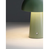 Nova Luce 9050174 ANDE Tischleuchte Grün 5