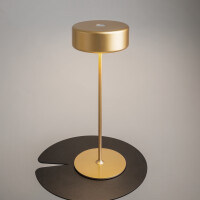 Maytoni Lioro Akku-Leuchte MOD229TL-L3G3K2 7
