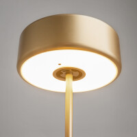Maytoni Lioro Akku-Leuchte MOD229TL-L3G3K2 8