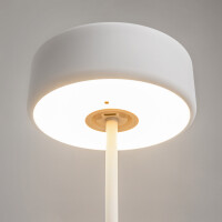 Maytoni LioraLux Akku-Leuchte MOD229TL-L3W3K2 8