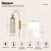 Maytoni LioraNova Wandleuchte MOD302WL-01CG 4