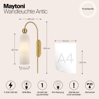 Maytoni Lioren Wandleuchte MOD302WL-01GR 4