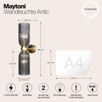Maytoni Luxia Wandleuchte MOD302WL-02GR 3