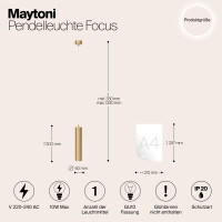 Maytoni Luxero Hängeleuchte P075PL-01MG 3
