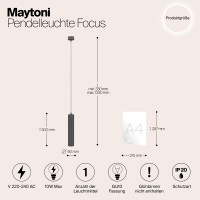 Maytoni Luxari Hängeleuchte P075PL-01B 4