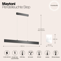 Maytoni Solariq Hängeleuchte P010PL-L30B 3