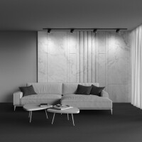 Technical RadiaraAura Schienenleuchte TR007-1-18W3K-B-1 3