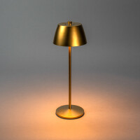 Eze USB-LED-Tischleuchte matt-gold gallery