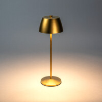 Eze USB-LED-Tischleuchte matt-gold 4