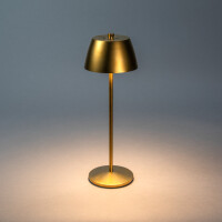 Eze USB-LED-Tischleuchte matt-gold 6