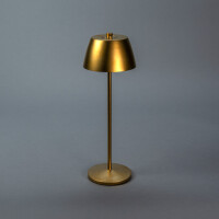 Eze USB-LED-Tischleuchte matt-gold 7